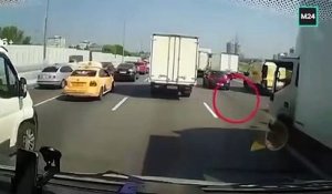 Un routier stoppe son camion pour sauver un chaton sur l'autoroute