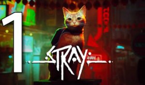 Stray [RediffLive] 01-08-2022 - Partie 1