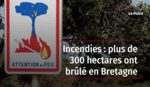 Incendies : plus de 300 hectares ont brûlé en Bretagne