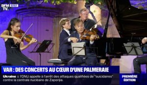Le violoniste Renaud Capuçon profite de l'été pour donner des concerts au cœur d'une palmeraie de Saint-Tropez