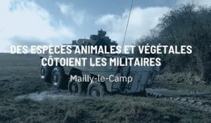 Des espèces animales et végétales côtoient les militaires