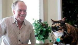 États-Unis : un « chat de garde » fait fuir des cambrioleurs qui tentaient de s'introduire dans la maison de son maître