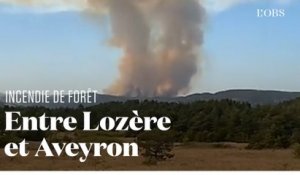 Qualifié de "compliqué", un feu de forêt fait des ravages en Aveyron
