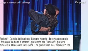 Camille Lellouche : Sa rencontre improbable avec un célèbre chanteur, durant leurs années de galère