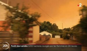 Un mois presque jour pour jour après le début du gigantesque incendie de Landiras (Gironde), le feu a repris avec vigueur