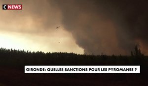 Incendies : quelles sanctions pour les pyromanes ?