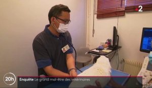 Menacé par un homme, ce vétérinaire du Val-de-Marne témoigne: "Il m’a dit ‘ne bougez pas, j’arrive. Je vais tous vous buter’" - VIDEO