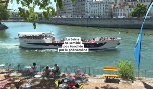 La Seine sauvée par ses bassins de rétention