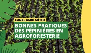 Canal Agro Météo : Bonnes pratiques des pépinières en agroforesterie