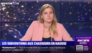 Raphaëlle Rémy-Leleu (EELV): après cet "été meurtrier", "on ne peut déclarer à nouveau la chasse ouverte, comme si de rien n'était"
