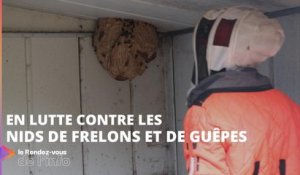 En lutte contre les nids de frelons et de guêpes