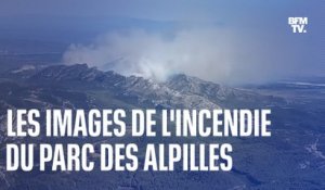 Les images de l'incendie du parc des Alpilles