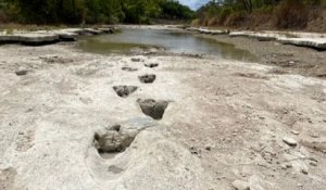 Des empreintes de dinosaure apparaissent dans le lit d'une rivière asséchée au Texas