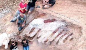 Portugal : un homme découvre un gigantesque squelette de dinosaure dans son jardin