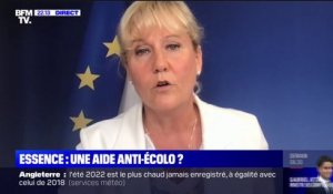 Nadine Morano: "Monsieur Jadot, Monsieur Mélenchon, Monsieur Macron ont nui à l'intérêt général de notre pays en sacrifiant notre filière nucléaire"