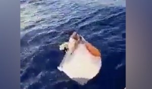 Un pêcheur brésilien dérive 11 jours dans un congélateur après le naufrage de son bateau