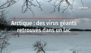 Arctique : des virus géants retrouvés dans un lac