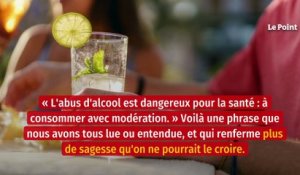 « L’alcool a de nombreux bénéfices cachés »