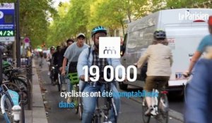 « L'enfer », « la pression », « des frissons » : à Paris la piste cyclable du boulevard de Sébastopol bat son record historique de fréquentation et les cyclistes souffrent