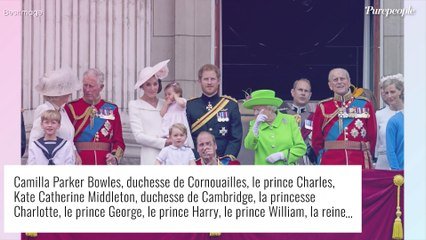 Prince Harry - Purepeople