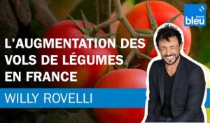 L'augmentation des vols de légumes en France - Le billet de Willy Rovelli