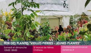 Toutes vos sorties dans la Loire !