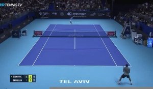 Tel-Aviv - Djokovic en finale contre Cilic