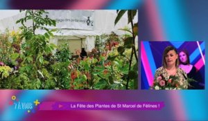 "Vieilles Pierres - Jeunes Plantes" c'est la fête des plantes au château de St Marcel de Félines "7 à vous" vous dévoile le programme de ces deux journées très "Flower Power" !