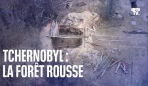 LIGNE ROUGE - Comment les soldats russes se sont exposés aux radiations à Tchernobyl