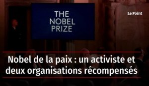Le Nobel de la paix décerné à un activiste biélorusse et deux ONG russe et ukrainienne
