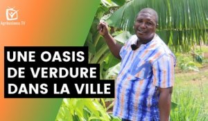 Burkina Faso : Une oasis de verdure dans la ville