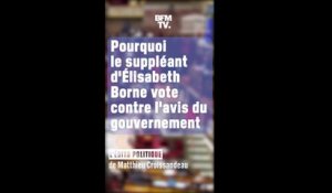 ÉDITO - Pourquoi le suppléant d'Élisabeth Borne vote contre l'avis du gouvernement