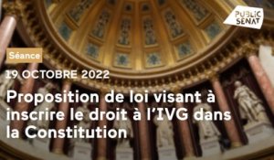 Constitutionnalisation de l'IVG : le Sénat vote contre