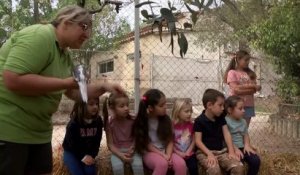 Martigues : la ferme pédagogique propose des animations pour les enfants pendant les vacances