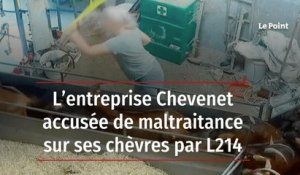 L’entreprise Chevenet accusée de maltraitance sur ses chèvres par L214