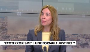 Caroline Pilastre : «L’écologie est devenue une religion d’après certains»