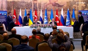 Céréales ukrainiennes : le président turc veut rencontrer ses homologues russe et ukrainien
