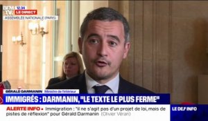 Gérald Darmanin: "S'il n'y avait plus de problème d'immigration en France, il n'y aurait plus de Front national"