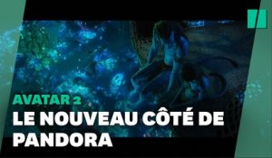 Un trailer impressionnant pour « Avatar 2 », entre action et contemplation