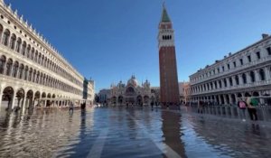 "Acqua Alta" à Venise: les images de la place Saint-Marc sous les eaux, la basilique protégée par des barrières