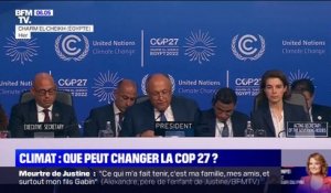 Quels sont les enjeux de la COP27 sur le climat qui a débuté dimanche en Égypte?