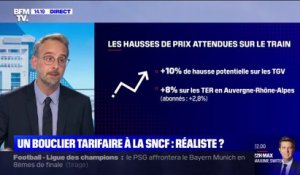 Un bouclier tarifaire à la SNCF: est-ce réaliste?