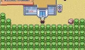 Pokémon Émeraude + online multiplayer - gba