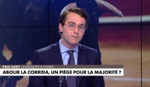 L'édito de Paul Sugy : «Abolir la corrida, un piège pour la majorité ?»