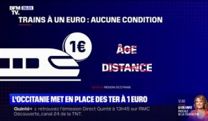 La région Occitanie met en place des TER à 1€ tous les premiers week-ends du mois