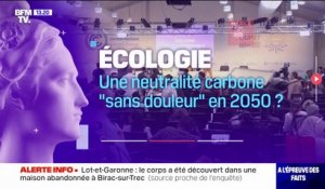 LA VÉRIF' - Une neutralité carbone "sans douleur" en 2050?