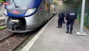 Pour lutter contre l'immigration clandestine, une brigade de police inspecte tous les trains en provenance de l'Italie