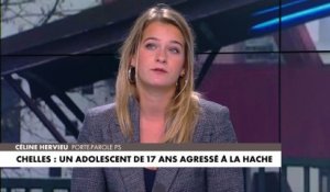 Céline Hervieu, à propos de la violence chez les jeunes : «les pouvoirs publics ont leur rôle à jouer, les parents aussi»