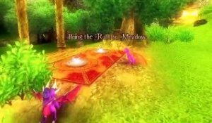 La Légende de Spyro : Naissance d'un dragon online multiplayer - ps2
