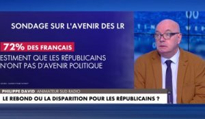 Philippe David : «Aujourd’hui LR c’est un parti d’élus locaux»